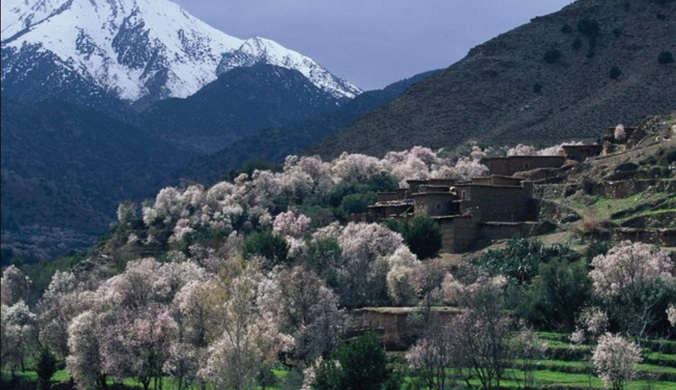 Escape to the Middle Atlas